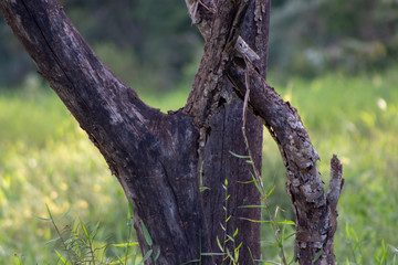 paisagem e meio ambiente