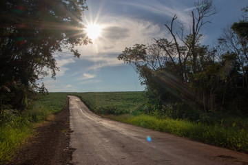 caminhos estradas paisagens e sol brilhando