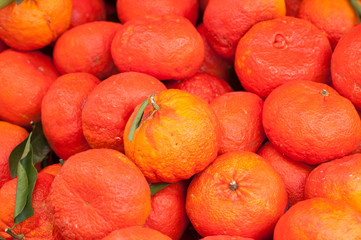 closeup of hybrid oranges at the market