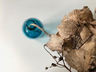 blue bottle with a dry twig of hydrangea on a white background 2