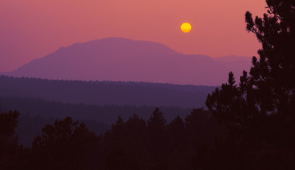 Colorful sunset in the hills of the black hills national forest 