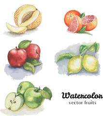 Watercolor fruits set: melon, apple red and green apple, orange, lemon
