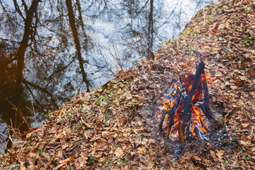 Evening bonfire on the bank of a forest stream