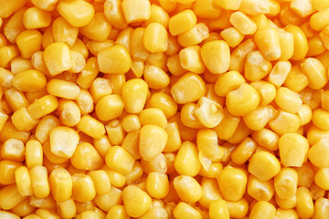 Golden canned corn, as distributed on a plane background and texture of popcorn. Before watching a movie top view. Close-up