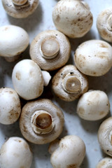 Champignon mushrooms on marble background. Top view, selective focus.