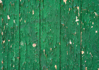 Fototapeta na wymiar Green wooden wall with cracked paint. Texture of wood and dried emerald paint.
