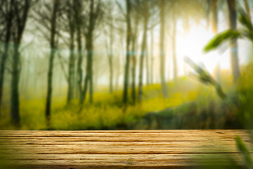 desk of free space and spring time 