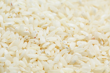 White rice background and texture. Rice grain. View from above. Close-up