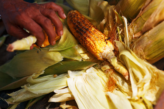 Corn cobs on the grill. Close-up image with corns and hands. Asian, Indian and Chinese street food. Trolley on the beach GOA