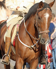 Fototapeta premium cowboy with boots riding the horse