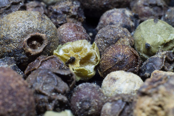 Food supply. Pepper mixture