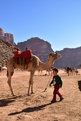 Kid boy playing with a camel