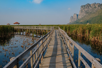 Fototapeta premium Lotus Lake is a tourist place at sunset. Thailand.