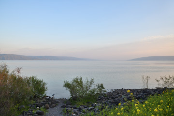 Galilee scenery, Kinneret lake. Israel