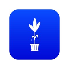 Decoration plant on pot in simple style isolated on white background vector illustration