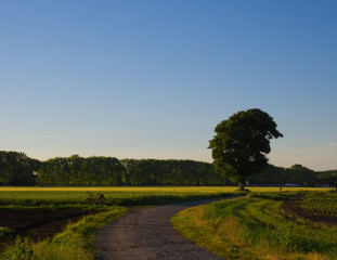 Sommerlandschaft in der goldenen Stunde