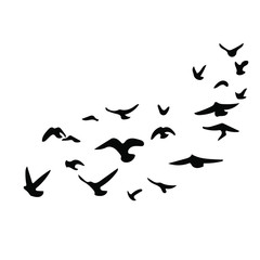 Obraz premium Birds