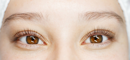 Obraz premium Close up view of beautiful female brown eyes with long natural lashes. Eyelash extension procedure. Natural eyebrows. Good vision, contact lenses. Eye health care.