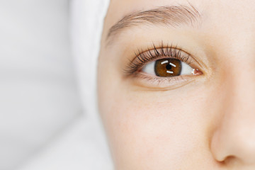 Close up view of beautiful female eye with long natural lashes. Eyelash extension procedure....