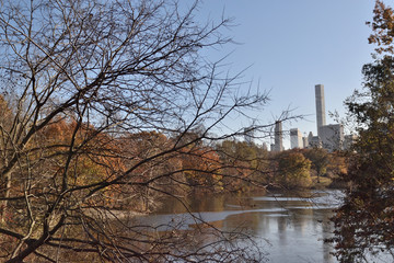 Central Park New York  beautiful landscape