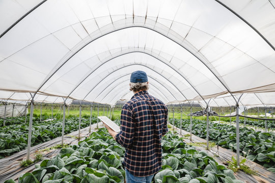 Farmer holding his tablet computer in a greenhouse - Powered by Adobe