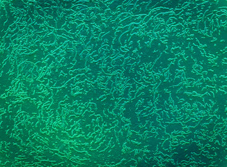 Seamless repeating texture in mixed neon colors