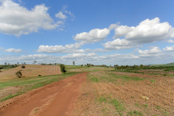 Fototapeta na wymiar Paisagem com estrada e céu azul e nuvens brancas