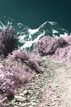 Infrared: Road in mountains in summer day