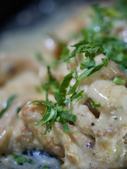 Portion of meat sprinkled with white sauce.