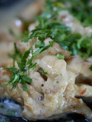 Portion of meat sprinkled with white sauce.