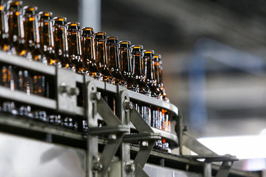 Brewery: Empty Bottles Move Through Production Bottling Line