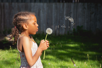 Portrait of a pretty young girl of mixed race blowing a large dandelion puff flower, and the seeds flying in the air.
