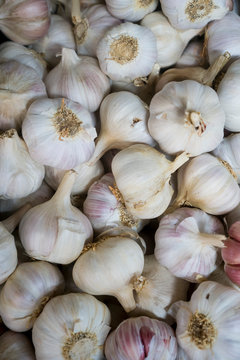 Garlic in a market