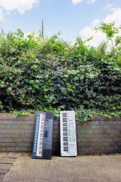 Keyboard Junk