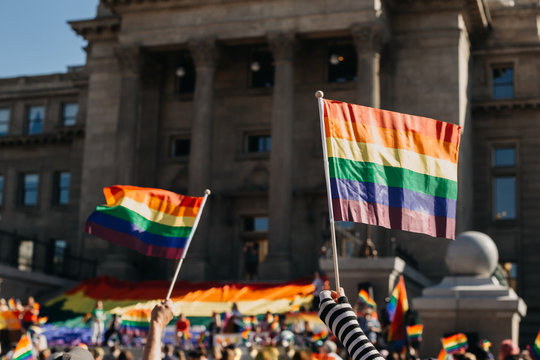 Crowd of people waving rainbow flags at pride parade