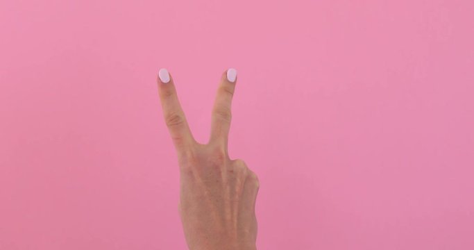Closeup of isolated on pink adult female hand counting from 0 to 5. Woman shows fist fist, then one, two, three, four, five fingers. Manicured nails painted with beautiful polish. Math concept.