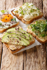 Delicious fresh open sandwiches with hummus, avocado, feta cheese, microgreen and egg closeup. vertical