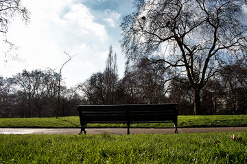 Dark bench in a park with a green grass background and trees