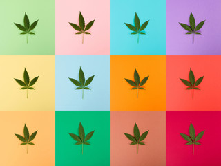 Cannabis Leaf Colorful Collage
