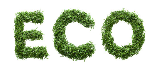 English word ECO is made from green grass. Isolated on white background. Concept: title, title, eco-friendly, text