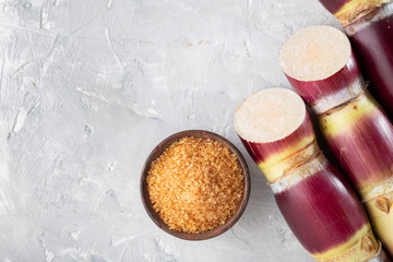 Sugarcane and sugarcane, panela and sugar cane derivatives