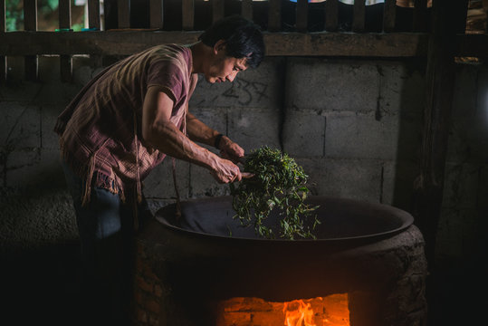 Young Karen processing organic tea leafs