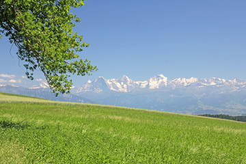 Aussicht von Längenberg, Berner Alpen, Schweiz 