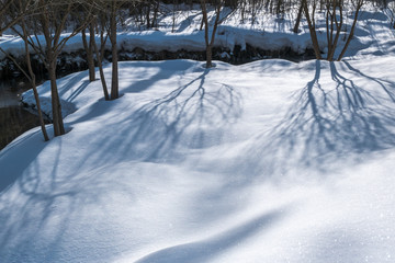 Winter snowy forest near Moscow