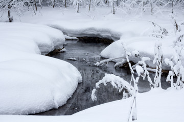 Winter snowy forest near Moscow