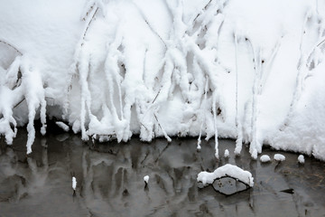 Winter snowy forest near Moscow
