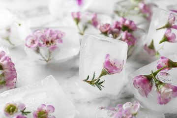 Fototapeta na wymiar Floral ice cubes on marble table