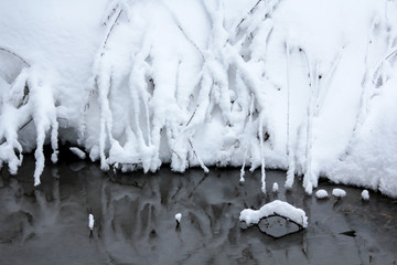 Winter snowy forest in December