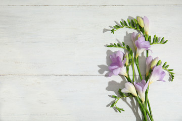 Beautiful fresh freesia flowers on wooden background, top view. Space for text