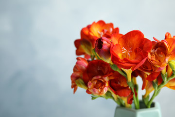 Beautiful spring freesia flowers in vase on color background. Space for text